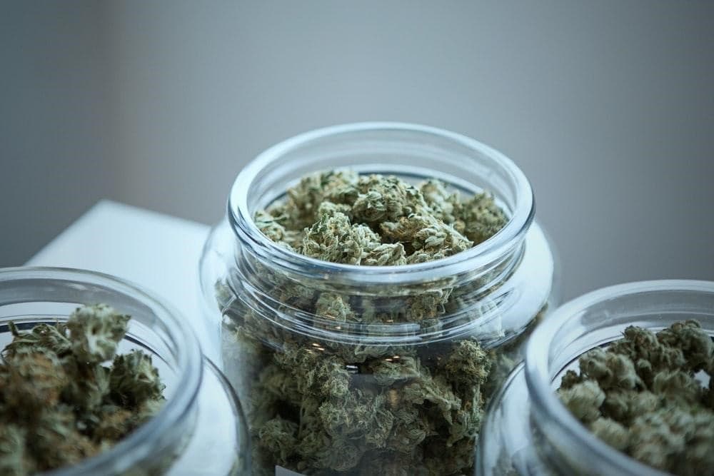 Calidad, aroma intenso y variedad de resinas con CBD hash wholesale de La Cosechera