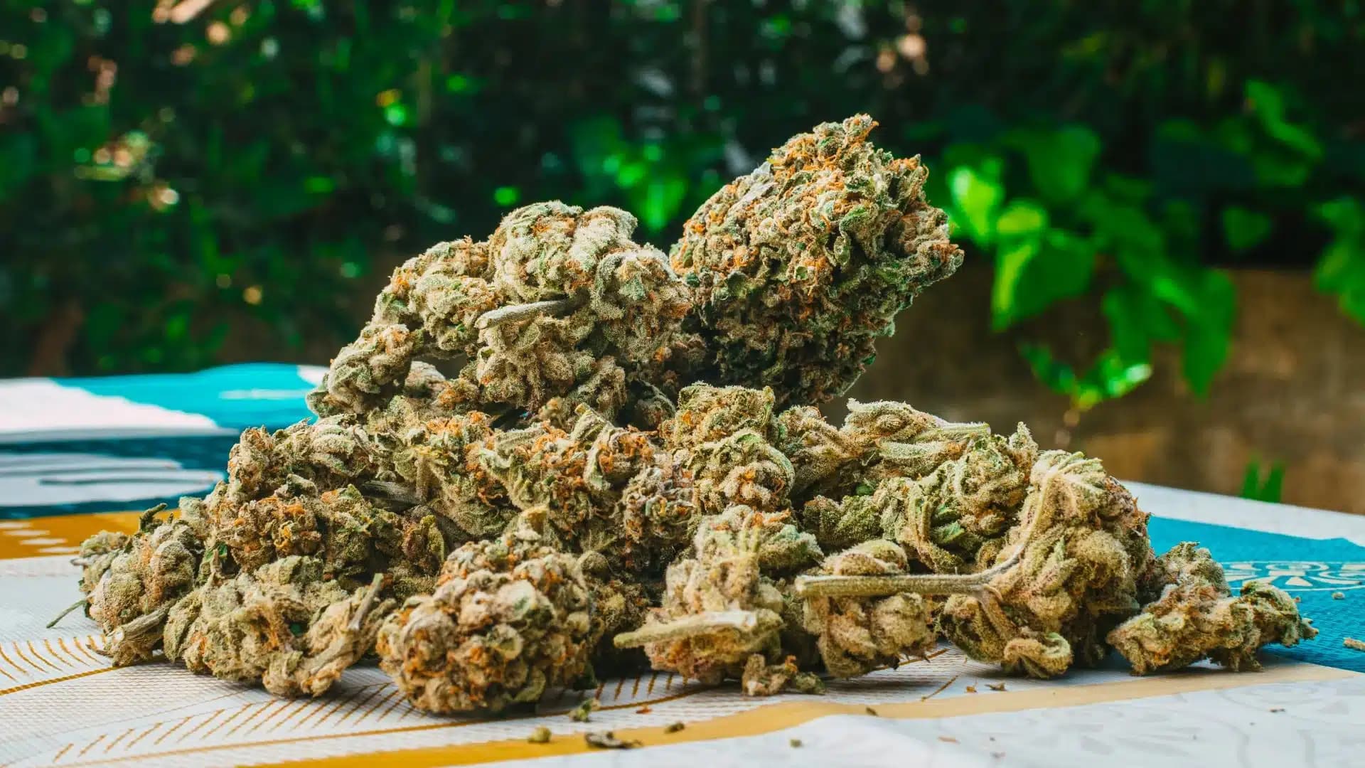 Legal Status of THCA Flower in the UK: What You Should Know