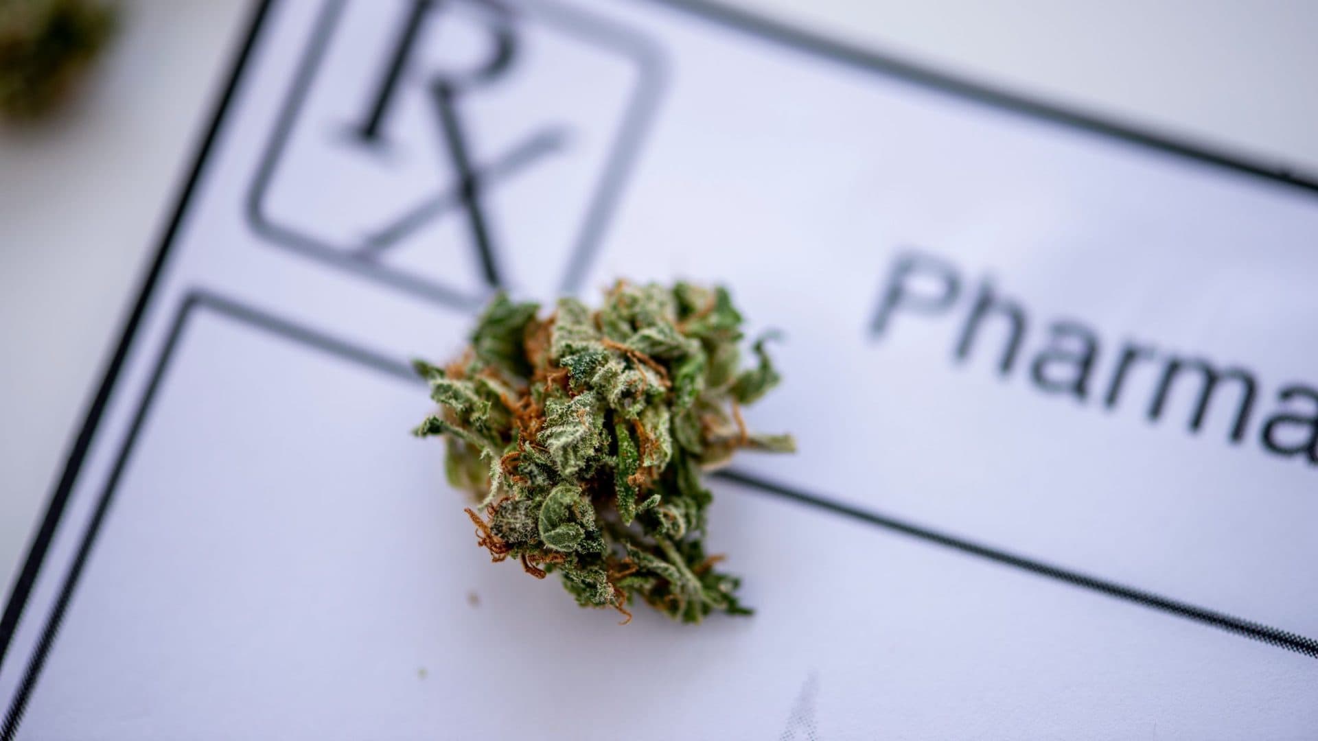 Medical Marijuana Card Services: Fast, Secure, and Available Online