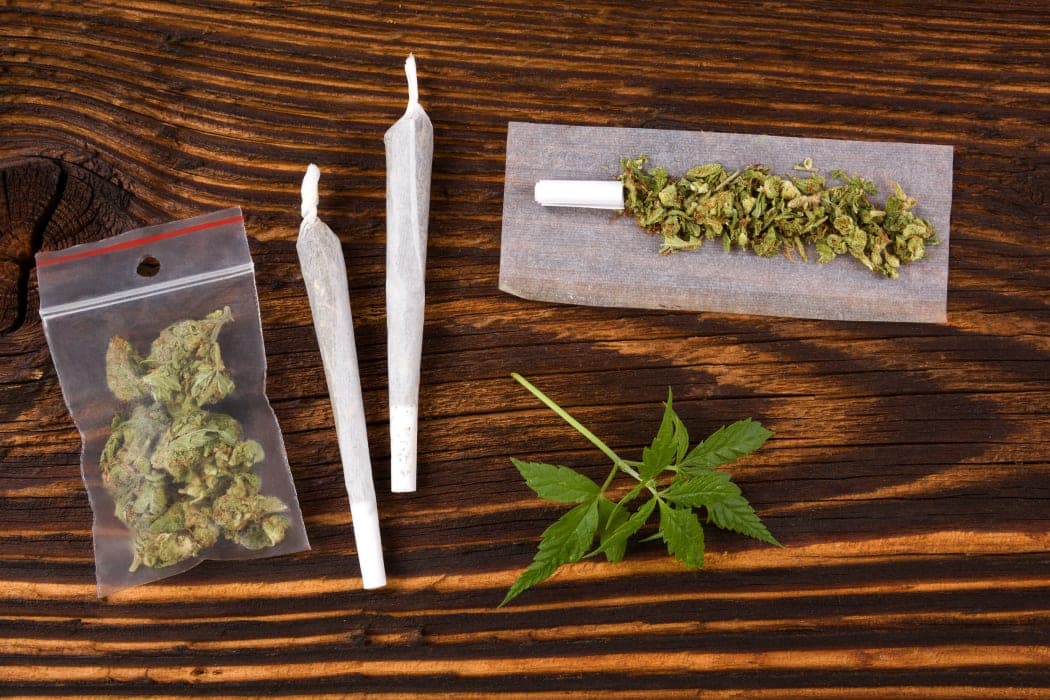 Personalized Service Meets CBD OG Kush: Green Leaf Store EU's Commitment to Every Client