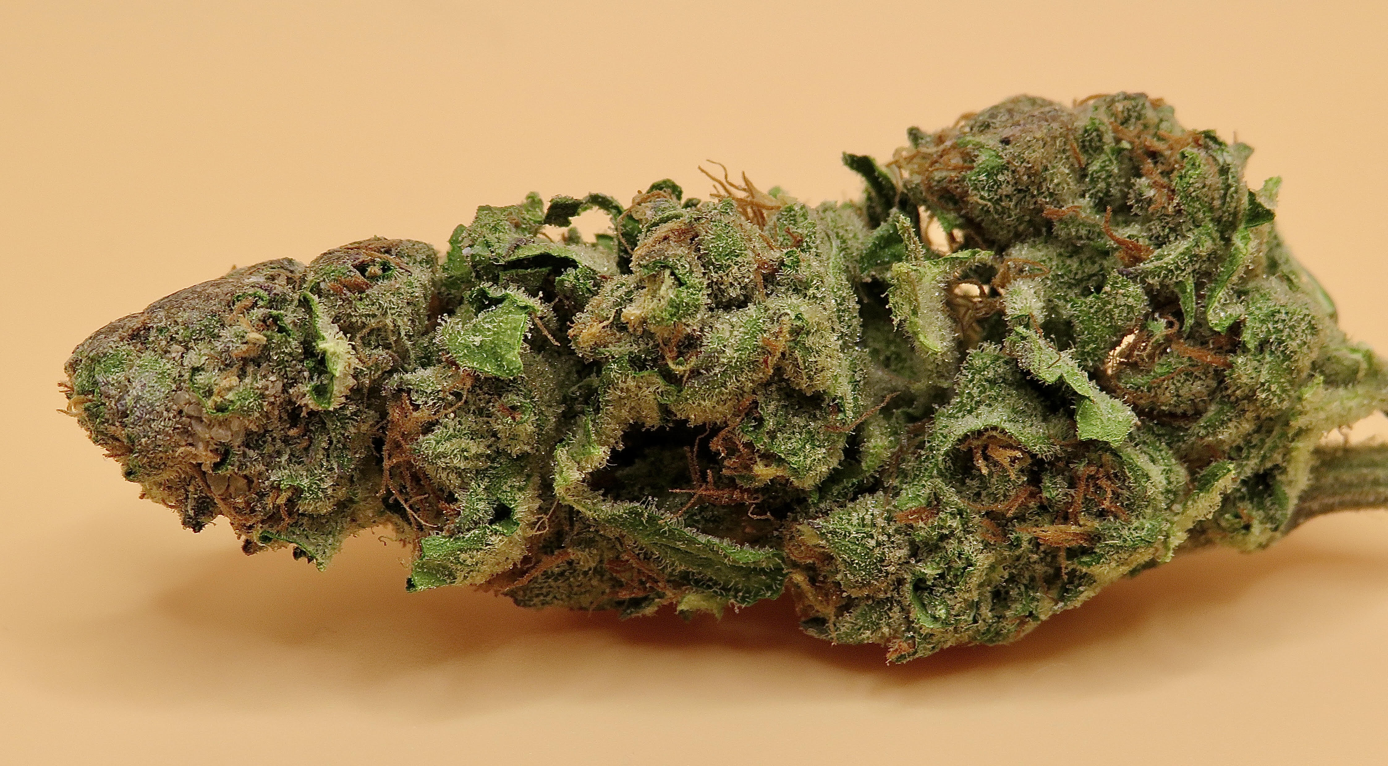 Affordable Weed Strains for Sale Europe – THC Infused Edibles Included