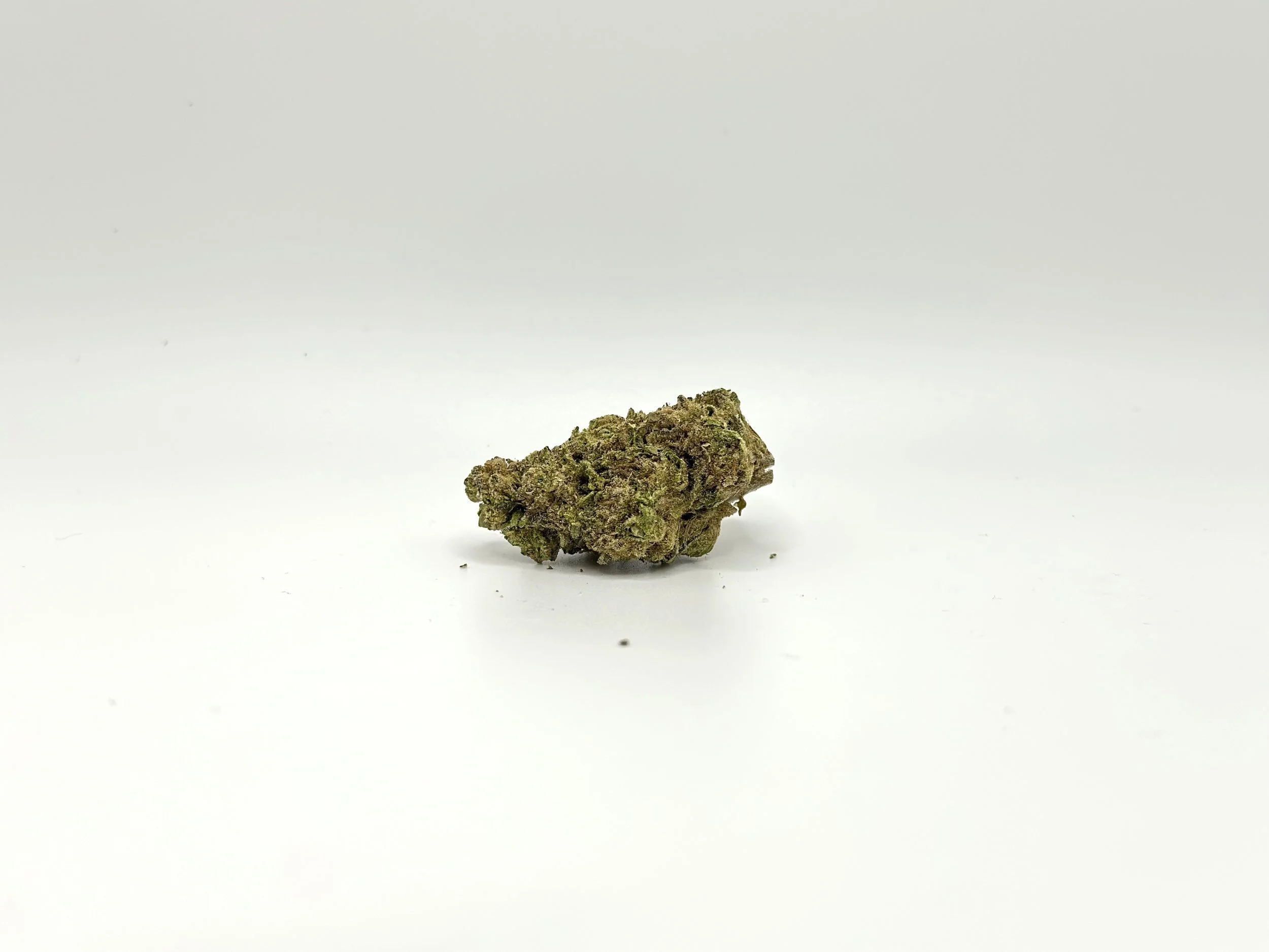 Why the Jealousy Strain Is a Must-Have for Quality-Focused Cannabis Enthusiasts