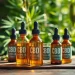 Showcasing CBD oil bottles on a wooden table surrounded by hemp plants, emphasizing natural wellness.