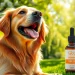 Happy dog with CBD Oil For Dog in sunny park setting for health and wellness.